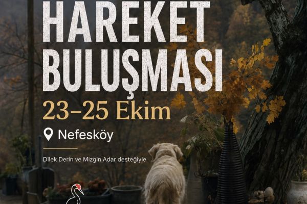 Yazı ve Hareket Buluşması