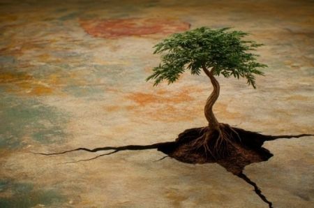 Duygusal Dayanıklılık (Resilience): Zor Zamanlarda Kırılmadan Esneme Sanatı