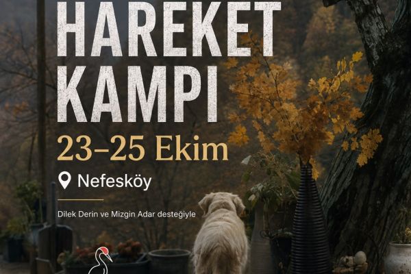 Yazı ve Hareket Kampı