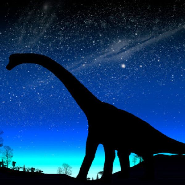 Kitap Okuyan Dinozorlar